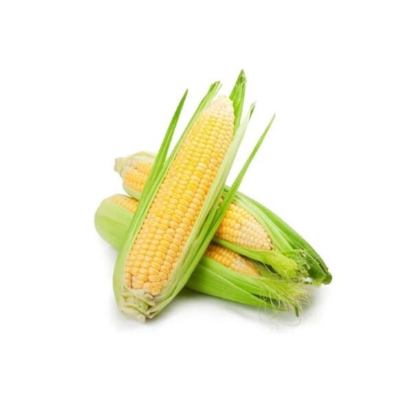Dharmdhari Product Sweet corn